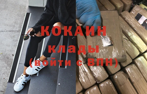 дживик Арсеньев