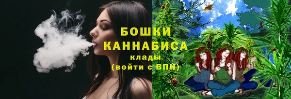 твердый Аркадак
