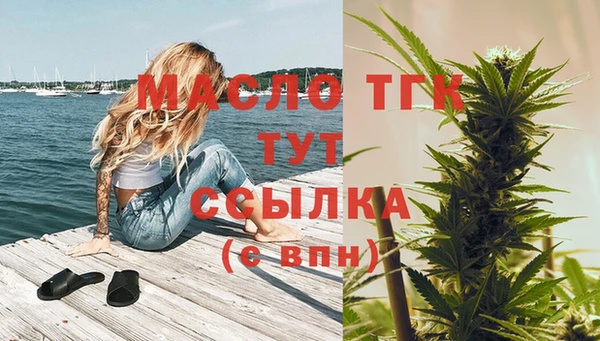 дживик Арсеньев
